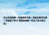 怎么在淘宝看一共消费多少钱（淘宝在哪可以看一共消费了多少 淘宝如何看一共花了多少钱介绍）