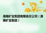 淮南矿业集团有限责任公司（淮南矿业集团）