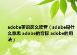 adobe英语怎么读音（adobe是什么意思 adobe的音标 adobe的用法）