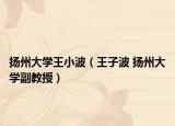 扬州大学王小波（王子波 扬州大学副教授）
