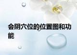 会阴穴位的位置图和功能