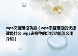 wps文档定位功能（wps表格定位的快捷键是什么 wps表格中的定位功能怎么用介绍）