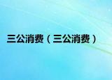 三公消费（三公消费）