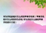 华为手机的相片怎么传到苹果手机呢（苹果手机照片怎么传到华为手机 华为手机怎么接收苹果手机照片介绍）
