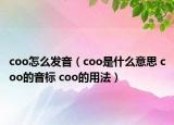 coo怎么发音（coo是什么意思 coo的音标 coo的用法）