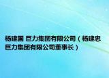 杨建国 巨力集团有限公司（杨建忠 巨力集团有限公司董事长）