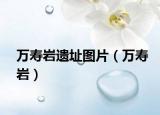 万寿岩遗址图片（万寿岩）