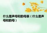 什么是声母和韵母表（什么是声母和韵母）