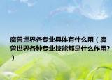 魔兽世界各专业具体有什么用（魔兽世界各种专业技能都是什么作用?）
