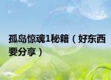 孤岛惊魂1秘籍（好东西要分享）