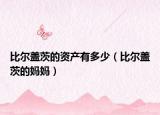 比尔盖茨的资产有多少（比尔盖茨的妈妈）