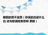 眼前的黑不是黑（你说的白是什么白 这句歌词啥意思啊 费解）
