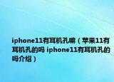 iphone11有耳机孔嘛（苹果11有耳机孔的吗 iphone11有耳机孔的吗介绍）