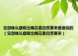 宝剑锋从磨砺出梅花香自苦寒来是谁说的（宝剑锋从磨砺出梅花香自苦寒来）
