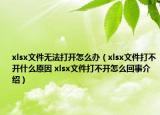 xlsx文件无法打开怎么办（xlsx文件打不开什么原因 xlsx文件打不开怎么回事介绍）