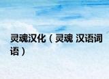 灵魂汉化（灵魂 汉语词语）