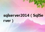sqlserver2014（SqlServer）