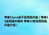 苹果11pro是不是双扬声器（苹果11是双扬声器吗 苹果11有没有双扬声器介绍）