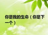 你是我的生命（你是下一个）