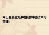 今日更新丝瓜种植(瓜种植技术与管理)