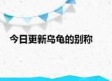 今日更新乌龟的别称