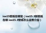 ios15壁纸在哪里（ios15.3新壁纸在哪 ios15.3壁纸怎么设置介绍）
