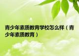 青少年素质教育学校怎么样（青少年素质教育）