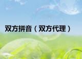 双方拼音（双方代理）