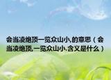 会当凌绝顶一览众山小,的意思（会当凌绝顶,一览众山小.含义是什么）