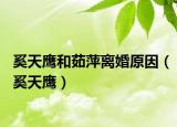 奚天鹰和茹萍离婚原因（奚天鹰）