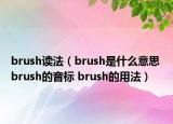brush读法（brush是什么意思 brush的音标 brush的用法）