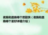 夜跑和晨跑哪个燃脂快（夜跑和晨跑哪个更好详细介绍）