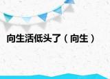 向生活低头了（向生）