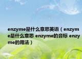 enzyme是什么意思英语（enzyme是什么意思 enzyme的音标 enzyme的用法）