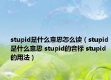 stupid是什么意思怎么读（stupid是什么意思 stupid的音标 stupid的用法）