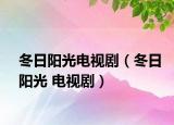 冬日阳光电视剧（冬日阳光 电视剧）