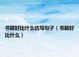 书籍好比什么仿写句子（书籍好比什么）