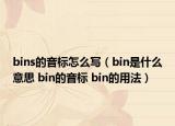 bins的音标怎么写（bin是什么意思 bin的音标 bin的用法）