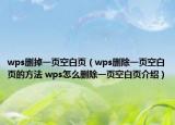 wps删掉一页空白页（wps删除一页空白页的方法 wps怎么删除一页空白页介绍）