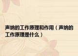 声纳的工作原理和作用（声纳的工作原理是什么）
