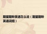 期望期盼英语怎么说（期望期盼英语词组）