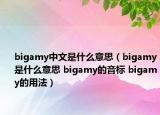 bigamy中文是什么意思（bigamy是什么意思 bigamy的音标 bigamy的用法）