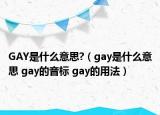 GAY是什么意思?（gay是什么意思 gay的音标 gay的用法）
