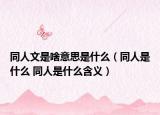 同人文是啥意思是什么（同人是什么 同人是什么含义）