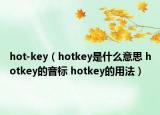 hot-key（hotkey是什么意思 hotkey的音标 hotkey的用法）