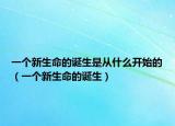一个新生命的诞生是从什么开始的（一个新生命的诞生）