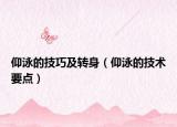 仰泳的技巧及转身（仰泳的技术要点）