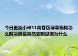今日更新小米11青春版屏幕模糊怎么解决屏幕突然变暗是因为什么