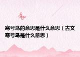 寒号鸟的意思是什么意思（古文寒号鸟是什么意思）