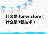 什么是itunes store（什么是it新技术）